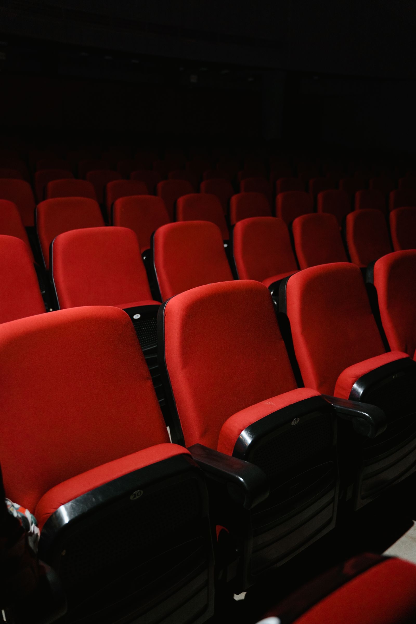 Rows of red cinema seats