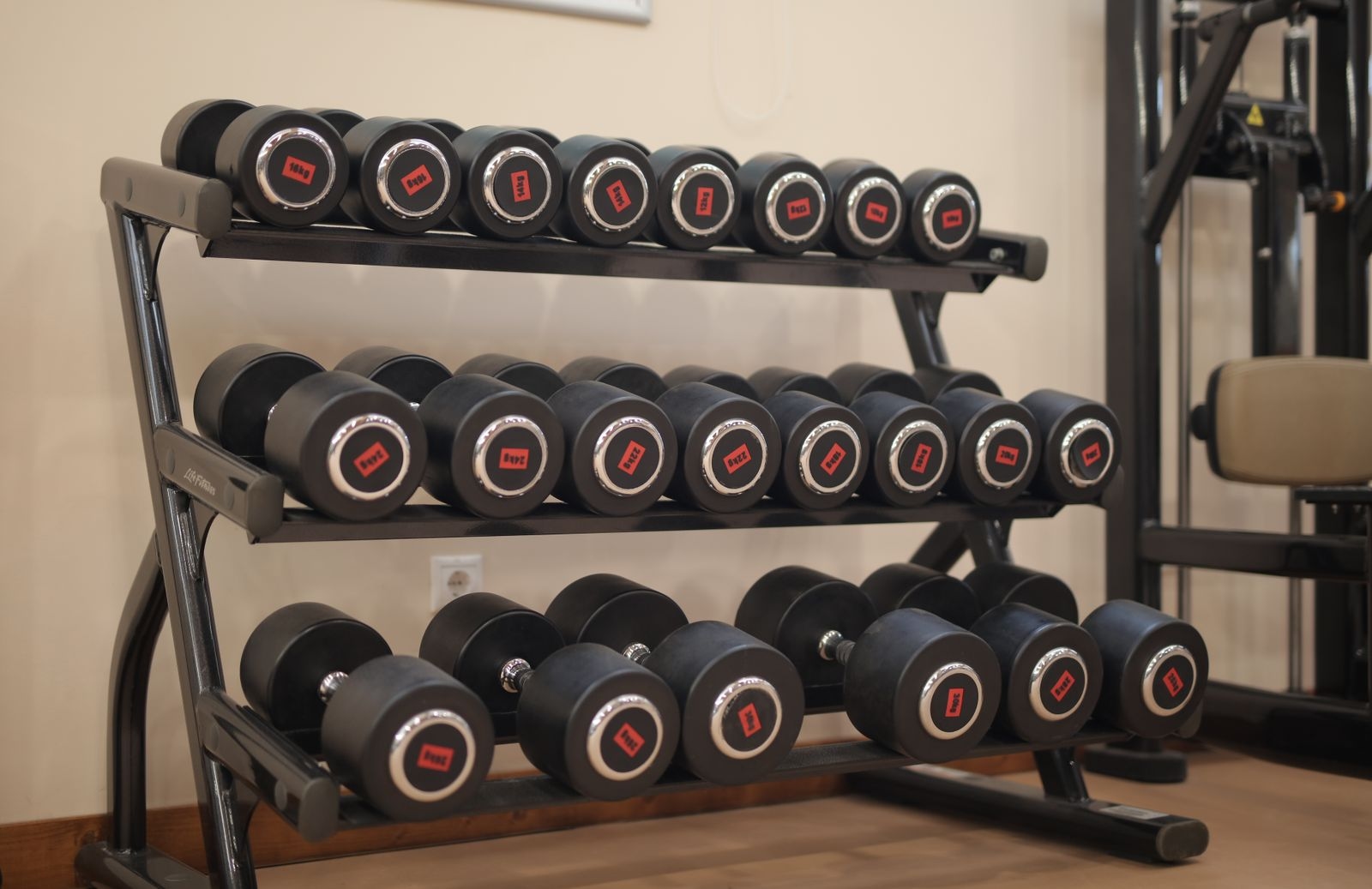 Black and red dumbbells on the rack