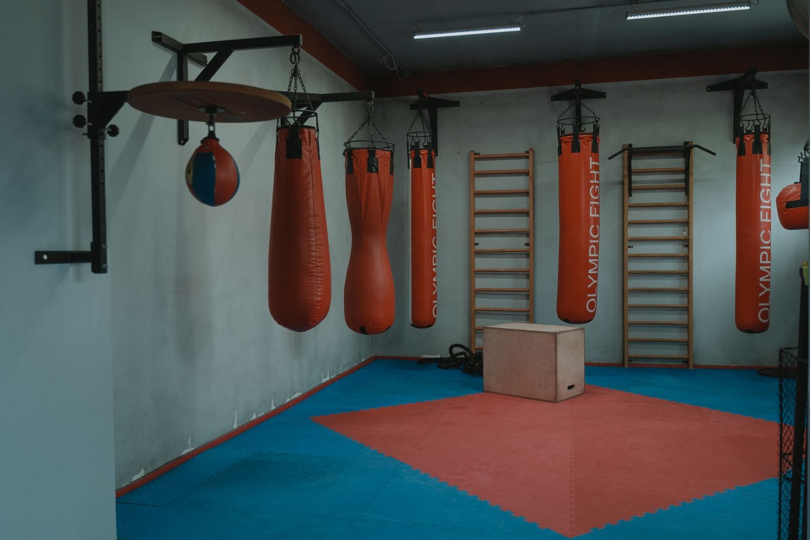 Punching bags hanging in the studio